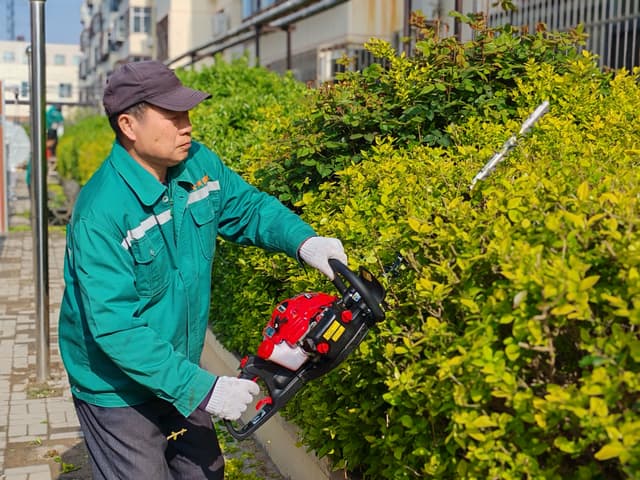 河北沧州新华区东环街道新开路社区联合开展绿化整治 绘就宜居崭新画卷